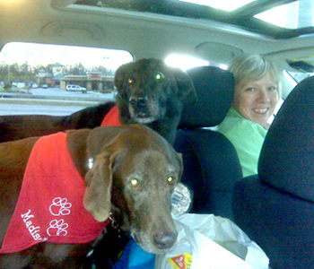 Two dogs and a smiling woman inside a car.