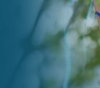 Blurred image with blue and green hues creating an abstract natural scene.